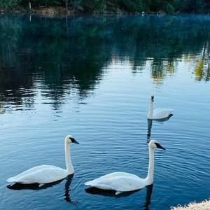 Meet your Posher, Sue